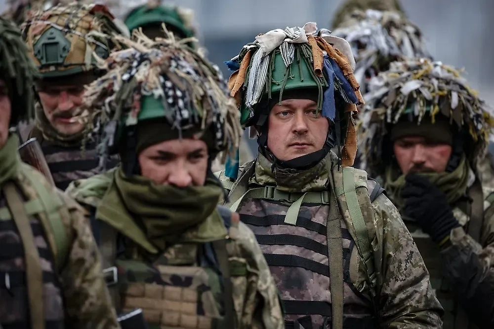 Обложка © Shutterstock / FOTODOM / Dmytro Larin